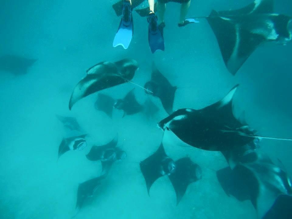 דהרבנדהו Summer Shade Maldives מראה חיצוני תמונה