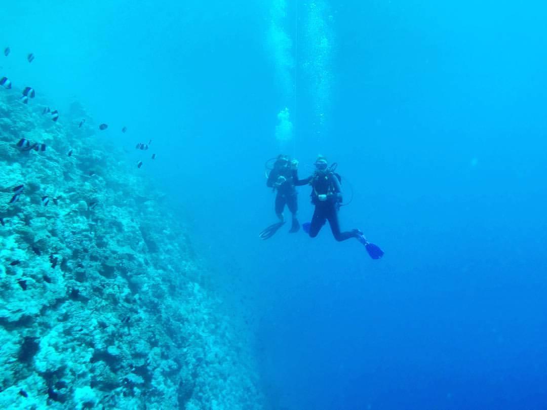 דהרבנדהו Summer Shade Maldives מראה חיצוני תמונה